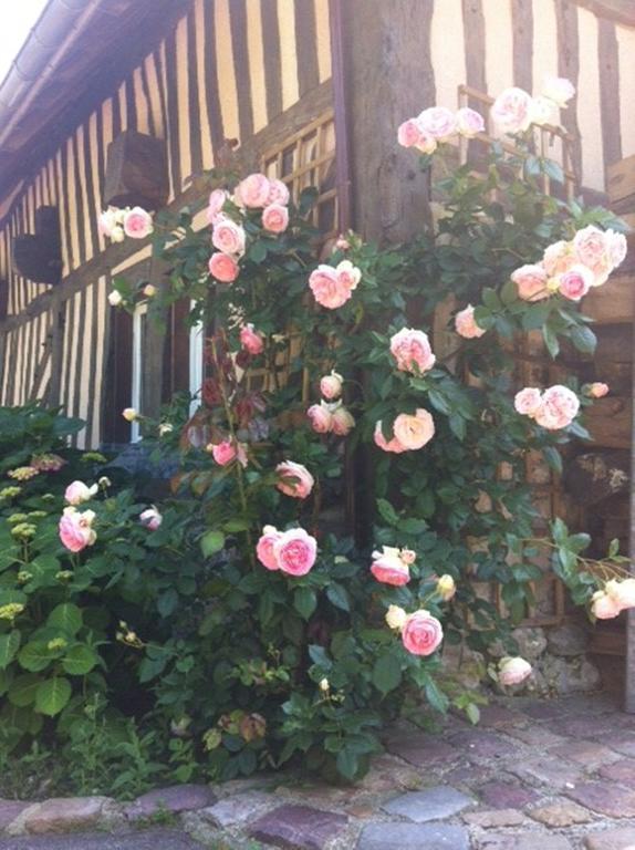 A La Bergerie Acomodação com café da manhã Honfleur Exterior foto